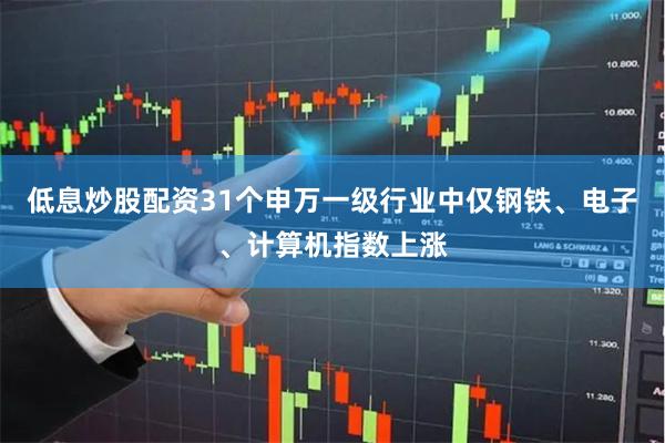 低息炒股配资31个申万一级行业中仅钢铁、电子、计算机指数