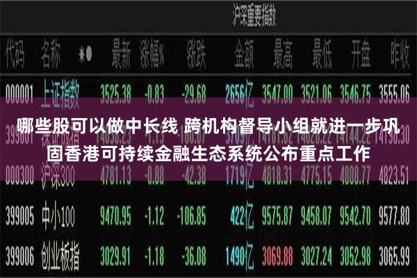 哪些股可以做中长线 跨机构督导小组就进一步巩固香港可持续金融生态系统公布重点工作