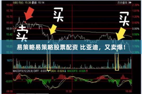 易策略易策略股票配资 比亚迪，又卖爆！