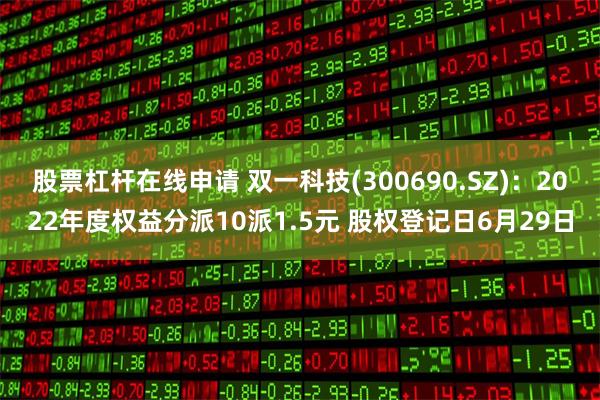 股票杠杆在线申请 双一科技(300690.SZ)：2022年度权益分派10派1.5元 股权登记日6月29日