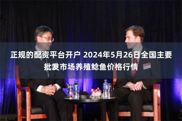 正规的配资平台开户 2024年5月26日全国主要批发市场养殖鲶鱼价格行情