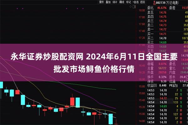 永华证券炒股配资网 2024年6月11日全国主要批发市场鲟鱼价格行情