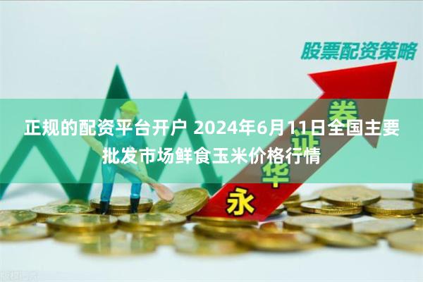 正规的配资平台开户 2024年6月11日全国主要批发市场鲜食玉米价格行情