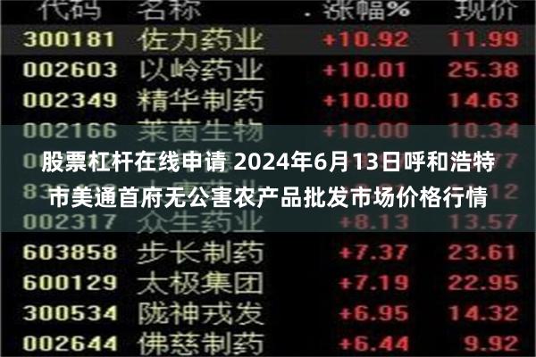 股票杠杆在线申请 2024年6月13日呼和浩特市美通首府无公害农产品批发市场价格行情