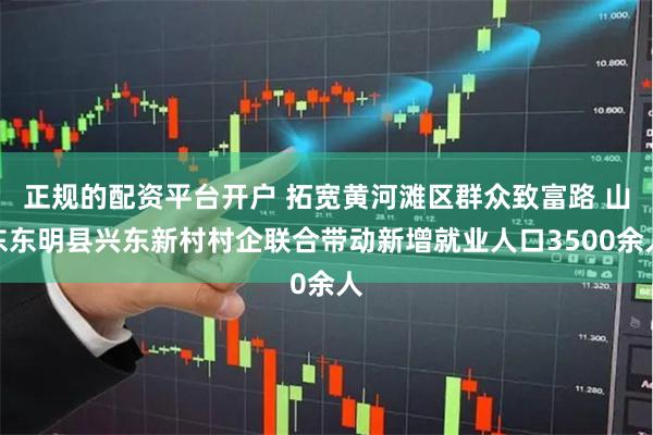 正规的配资平台开户 拓宽黄河滩区群众致富路 山东东明县兴东新村村企联合带动新增就业人口3500余人