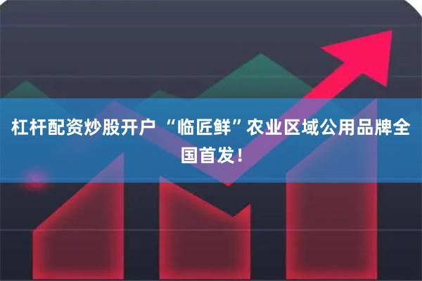 杠杆配资炒股开户 “临匠鲜”农业区域公用品牌全国首发！